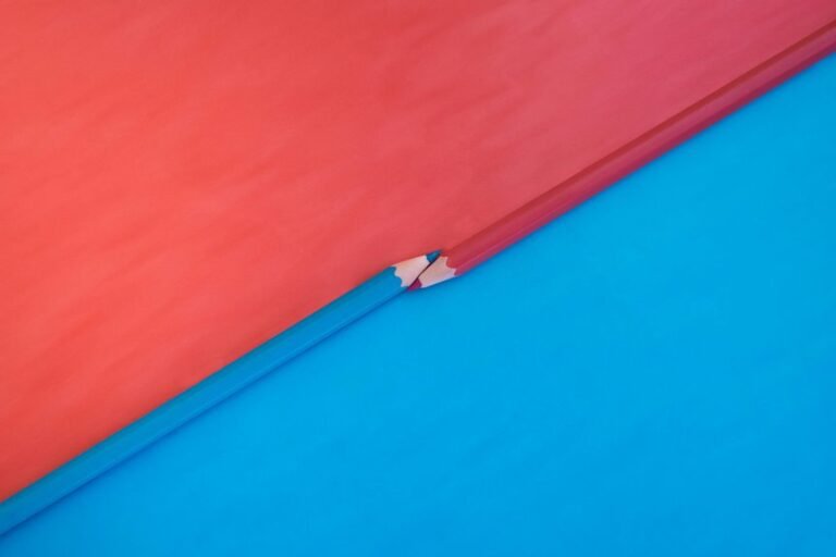 background check resources guide